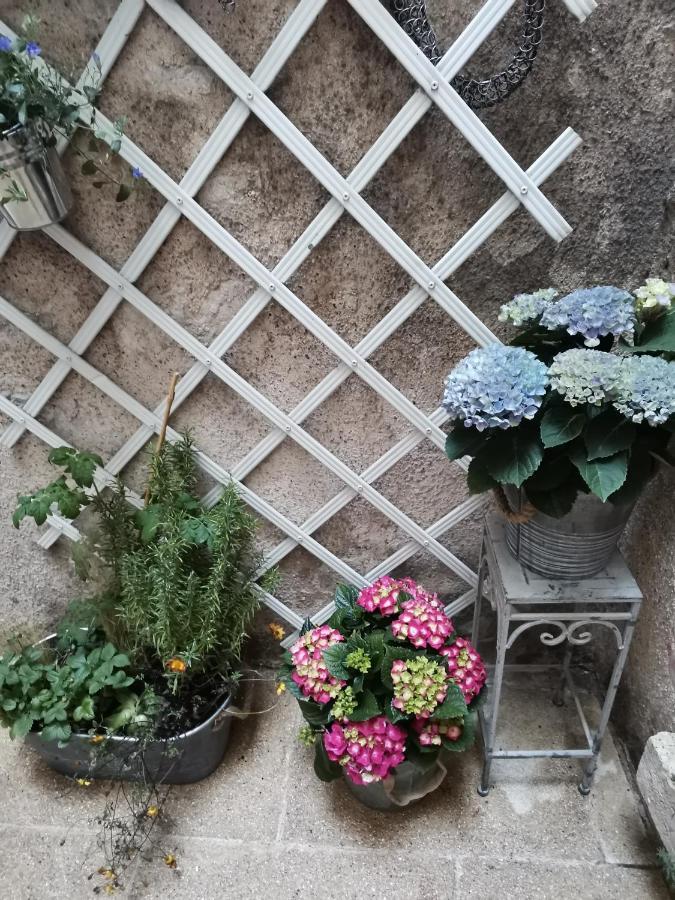 Le Nid De La Loire Blois Exterior foto